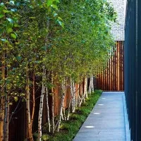 10 jardines laterales de revista