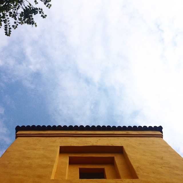 Instagram Image