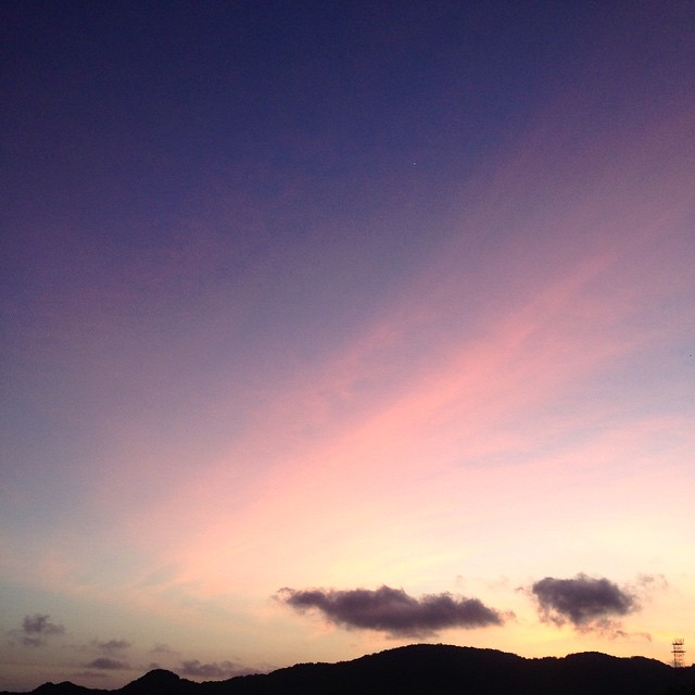 Instagram Image