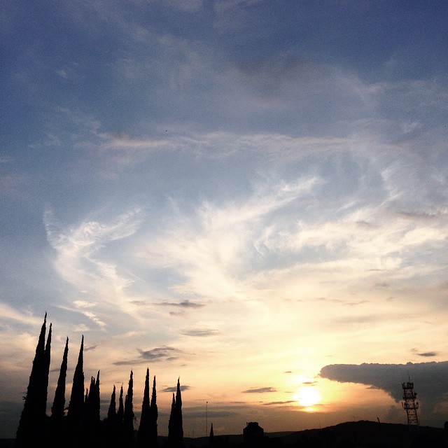 Instagram Image