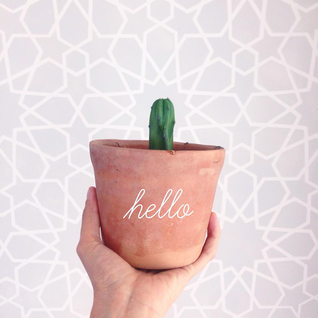 Instagram Image