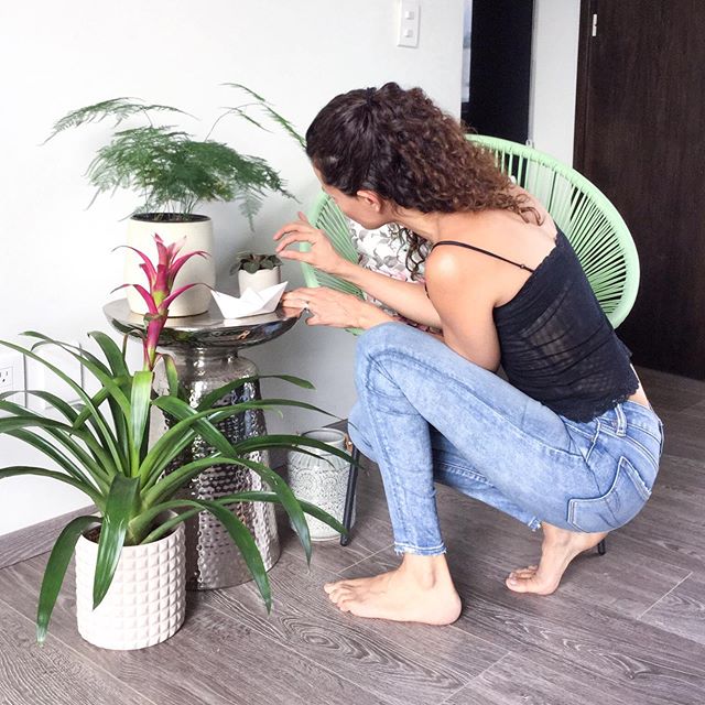 Mi rincón verde ? Ayer estuve acomodando este rinconcito en nuestra recámara para grabar una Story (que pronto espero compartirles) y me gustó tanto que ya lo dejé así! ? Me encanta  que esto sea lo primero que vemos cuando nos despertamos. ? Por cierto, la bromelia fue mi regalo anticipado de Día de las Madres, ¿les gusta tanto como a mí??? ?⁠⠀¿Tienen algún consejo para cuidar Bromelias?.⁠⠀Y con esta foto, aprovecho para participar en el sorteo de @ahuehuete_plantshop. ¿Me ayudan con su like para ganarme otra plantita para mi colección? ??? #lasplantasonmipokemon #MiMamáEsLaMejorMamá⁠⠀.⁠⠀My green corner ? Yesterday I arranged my plants in our bedroom to make a Story (coming to a screen near you soon), and I loved it so much, I had to leave it like that! ? I love that this is the first thing we see when we wake up! ? By the way, the lovely Bromelia was my Mother's Day present, is it gorgeous or what? ?⁠⠀.⁠⠀Oh, I'm participating in a local giveaway with this photo, to win another plant for my collection. Will you help me with your like, pretty please? ???⁠