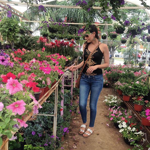 Mis compras favoritas ?Literalmente podría pasar tooooodo el día aquí ??????My kind of shopping ? I could literally spend all my time here. ??????#casahausdailywalks #flowers #bloom