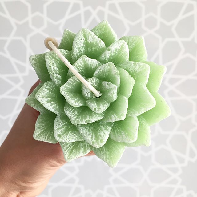¡Buen día! ? Mucha gente me ha preguntado sobre las velas de suculentas que usé en el baby shower de mi cuñada y estoy súper emocionada de decirles que las estoy vendiendo!!!!! ?? Son artesanales y las hay en tres colores hermosos (deslicen la imagen para ver los otros), así que si quieren para recuerdo en sus eventos, como regalitos ahora que se acercan las fiestas de fin de año, o simplemente para decorar sus espacios, mándenme un mensaje y con mucho gusto nos ponemos de acuerdo! ??? Feliz miércoles!!! ??Happy Wednesday! ? Many of you have asked me about the succucandles I used for my sister-in-law's baby shower, and I'm extra excited to tell you I am selling them!! ? They are handmade and come in three cute colors (swipe the photo to see the others), so if you're interested, drop me a line and let me know ??#succulove #succulent #amorsuculento #handmadecandles #velasartesanales