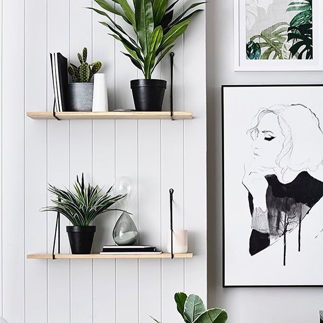 Feliz miércoles!!! ? Enamorada de este hermoso styling con plantas de @adairs ?Me fascina el verde junto con el blanco y negro!!!Happy Wednesday!!! ? So in love with this gorgeous styling by @adairs ?