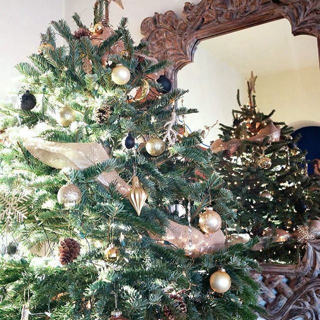 ¿Ya tienen su casa súper lista para la Navidad? ? Yo, no. ¡Nada!! ?? Pero eso no quiere decir que no he puesto arbolito, no..! de hecho llevo 2 ✌?Y hoy en el blog, les muestro uno de ellos, el que puse en el siempre bello Hacienda Lomajim ☺️ Todas las fotos y detalles, por supuesto en ??casahaus.net (o el enlace del perfil ?).Have you decorated your home for Christmas yet? What kind of question is that, right? It's 15 days into December already!!!! ? Well, I haven't!!!! ? Not a single thing! ? BUT, that doesn't mean I haven't put up a tree. Actually I've done 2! ✌? And today, on the blog, I'm showing you one of them. A very gorgeous, natural rustic one in gold and black, which I did for the ever beautiful @defranca_mx boutique hotel. Hope you like it (link in profile ?).#aventurascasahaus #blackandgoldchristmas