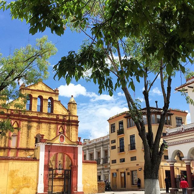 ¡Buenos días!!! ? ¿Cómo pinta su martes? ¡Espero que lleno de color!! ?Good morning!!! ? Hope you're having a happy, colorful Tuesday!!! ?#casahausinsancristobal #sancristobal #mexico #wheninmexico #mexicoinmypocket #lovelymexico
