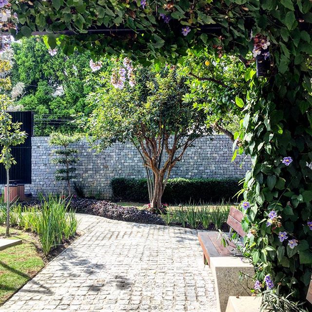Jardín secreto ?? Feliz lunes con sabor a domingo!Secret garden ?? Happy Monday!!#casahausphoto #gardendesign #landscaping