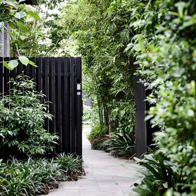 ¡Cómo me fascinan los jardines laterales! Siempre se me figuran como el camino hacia un jardín secreto... no puedo evitar querer asomarme y descubrir más ?? Y tú, ¿tienes uno así en casa? O al menos, ¿sueñas con uno, como yo? ☺️⠀.⠀My love for side gardens is deep! They always seem to me like the pathway to a secret garden. I can't help but want to snoop around and discover more ?? Are you lucky enough to have one? Or do you at least dream with one, like I do? ☺️ Via @vogueaustralia⠀.⠀#diseñodejardines #jardinesespectaculares #dreamgarden #gardengoals #gardeninspo #gardeninspiration #decoracion #decoración #interiorismo #diseñodeinteriores #interiorinspo #sidegarden #homedecor #homeideas #casamoderna #landscapedesign #landscapearchitecture #homeinspo #garden #espaciosqueinspiran #casabonita #jardin #diseñointerior #ighome #makehomeyours #mydomaine #myhousebeautiful