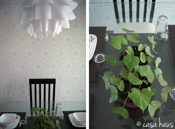 silla y planta cr