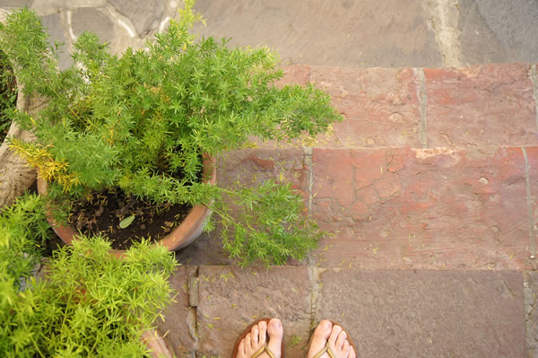 patio