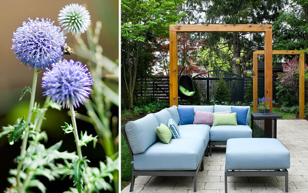 casa haus | outdoors