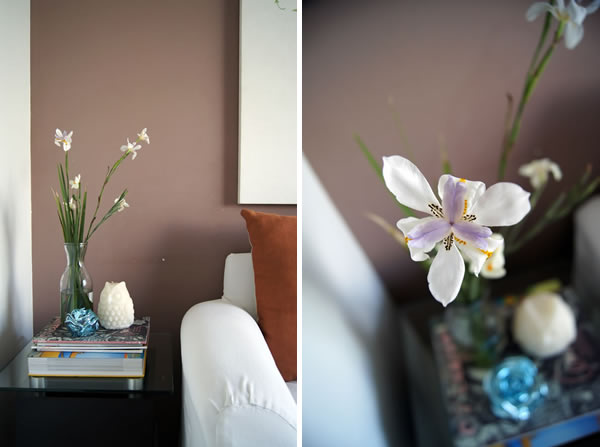 detalles flor