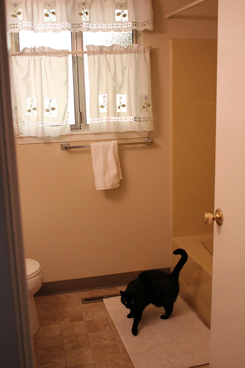 Gorgeous bathroom makeover // Antes y después: hermoso baño rústico con toque marroquí // casahaus.net