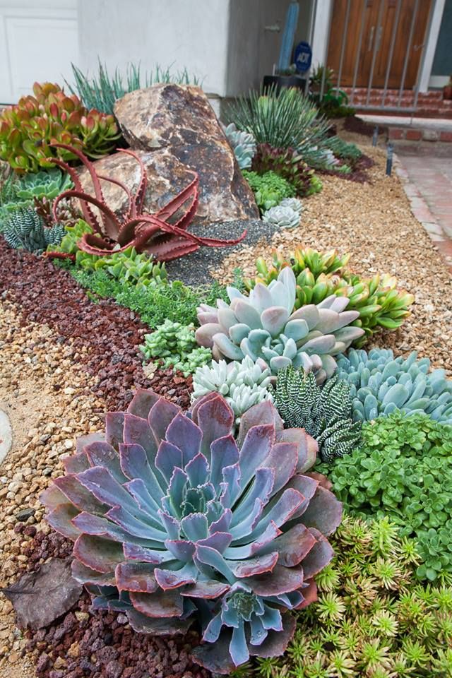 Xeriscaping: water wise modern gardens / Xerojardinería: jardines que consumen poca agua // casahaus.net