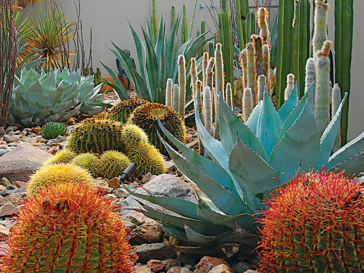 Xeriscaping: water wise modern gardens / Xerojardinería: jardines que consumen poca agua // casahaus.net