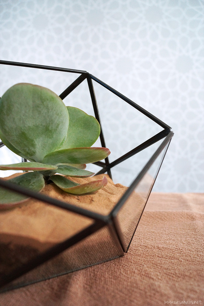 DIY faceted terrarium tutorial | Cómo hacer un terrario | casahaus.net
