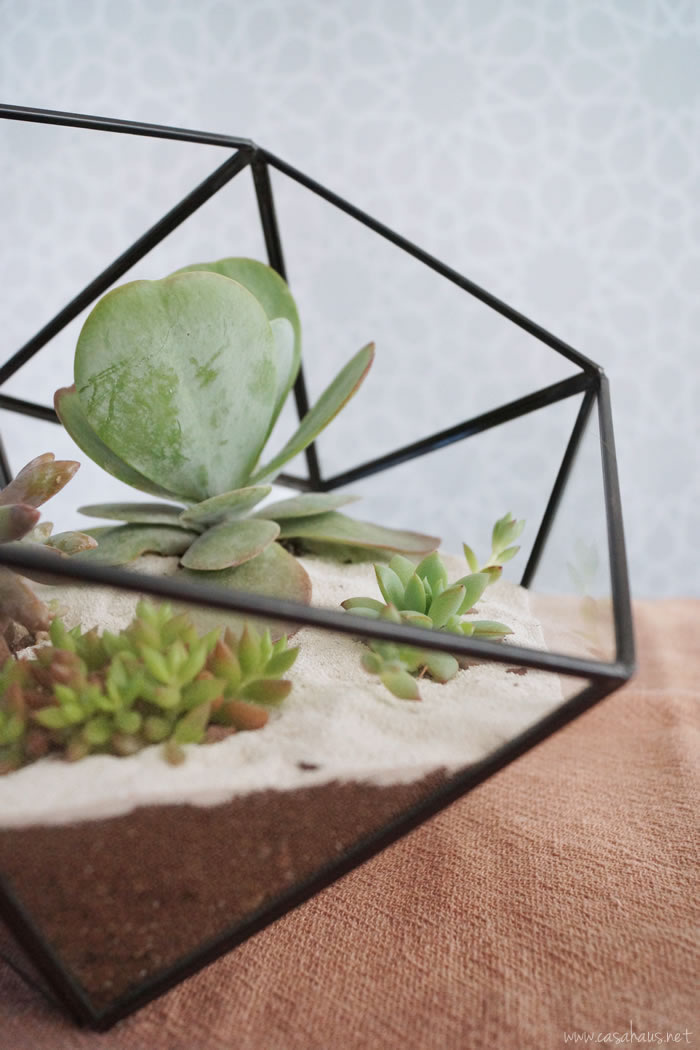 DIY faceted terrarium tutorial | Cómo hacer un terrario | casahaus.net
