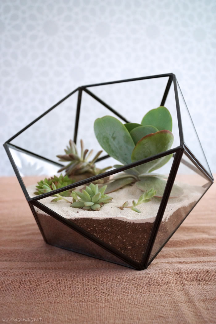 DIY faceted terrarium tutorial | Cómo hacer un terrario | casahaus.net