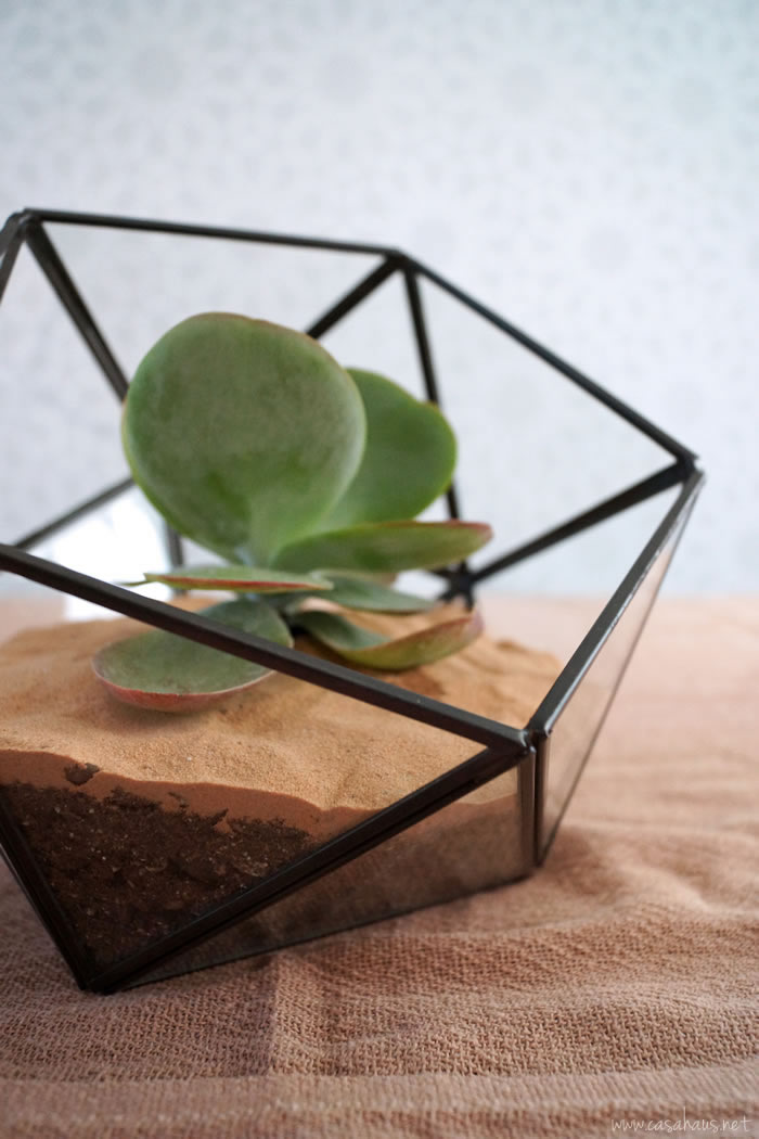 DIY faceted terrarium tutorial | Cómo hacer un terrario | casahaus.net