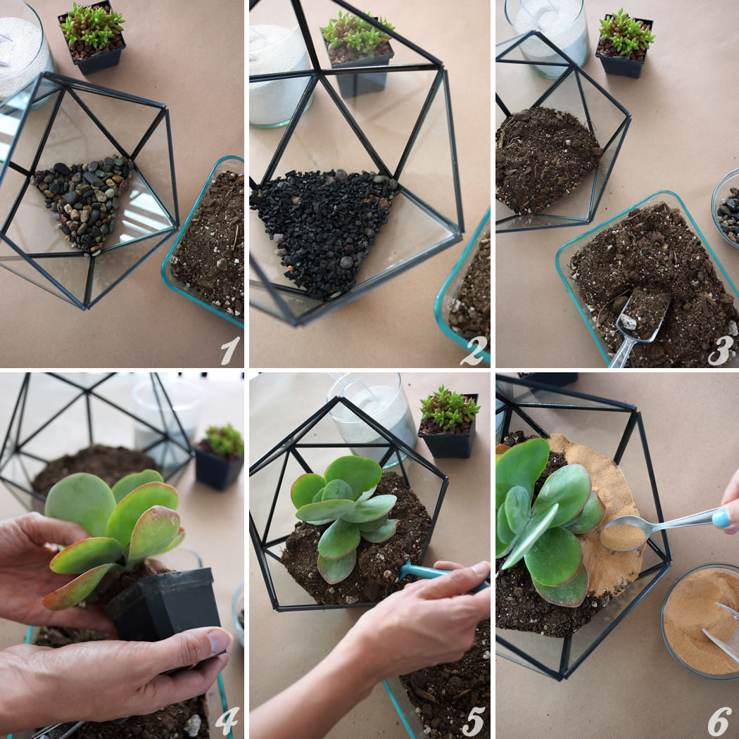 DIY faceted terrarium steps | Pasos para hacer un terrario | casahaus.net