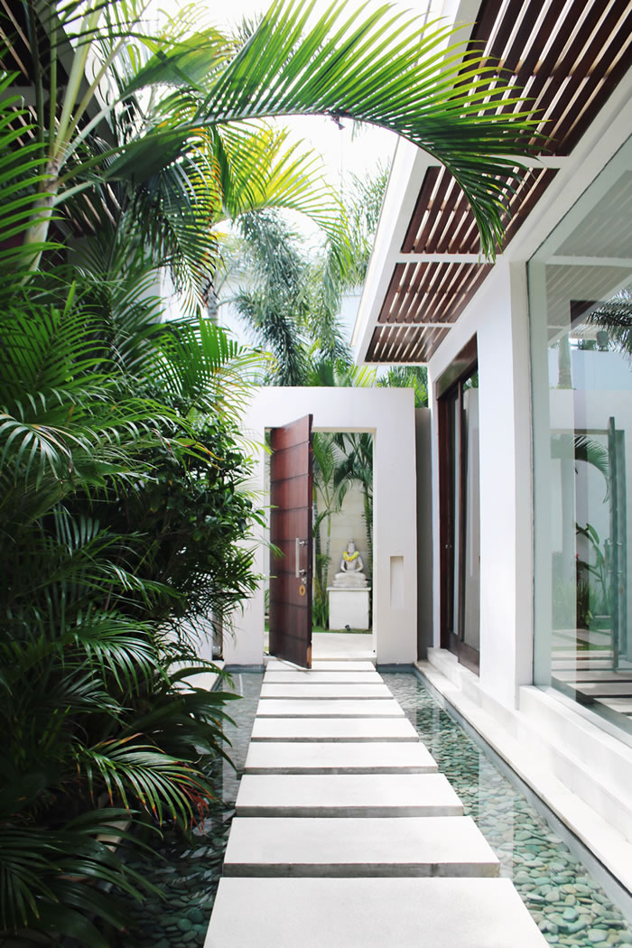 Contemporary side walk / Pasillo lateral contemporáneo con plantas y agua