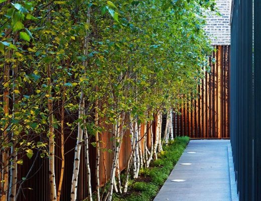 Side garden with trees and light installment / Jardín lateral con árboles y luces