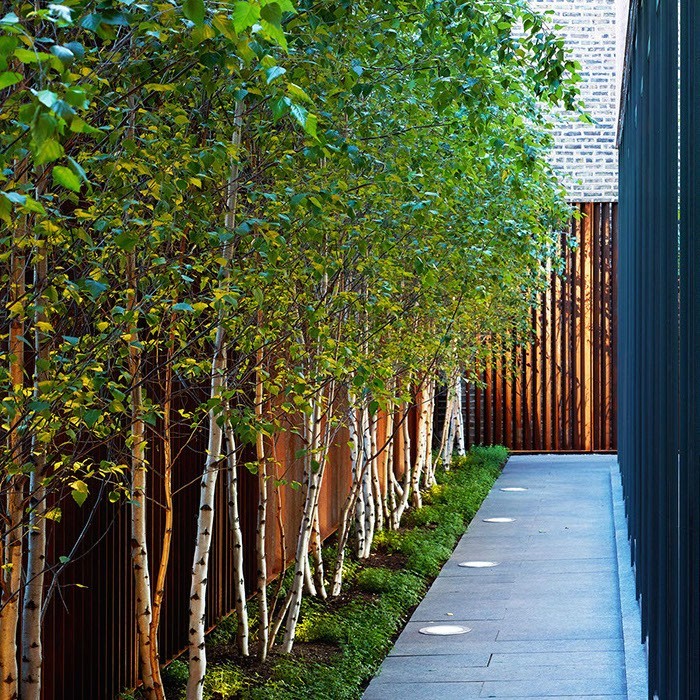 Side garden with trees and light installment / Jardín lateral con árboles y luces