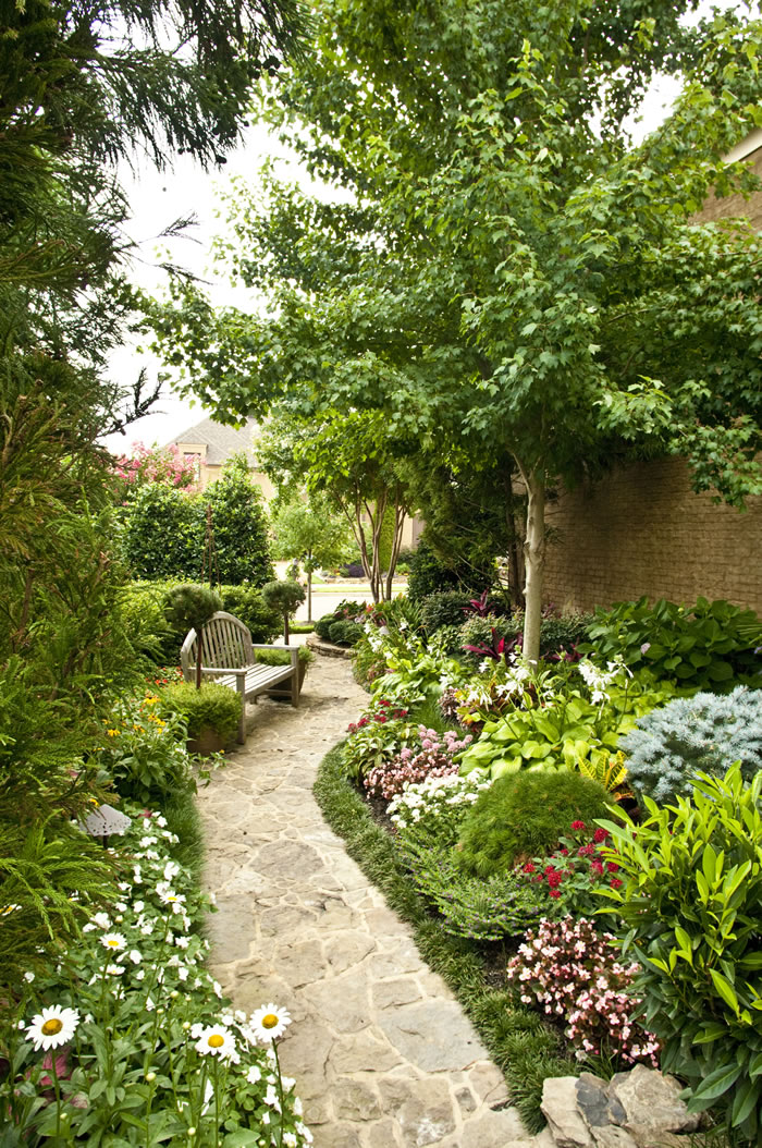 Happy and colorful side garden / Jardín lateral con flores