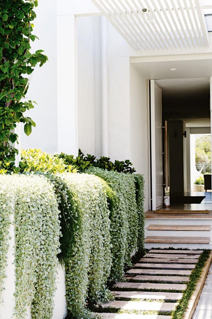 Gorgeous side garden and entryway / Hermoso jardín lateral