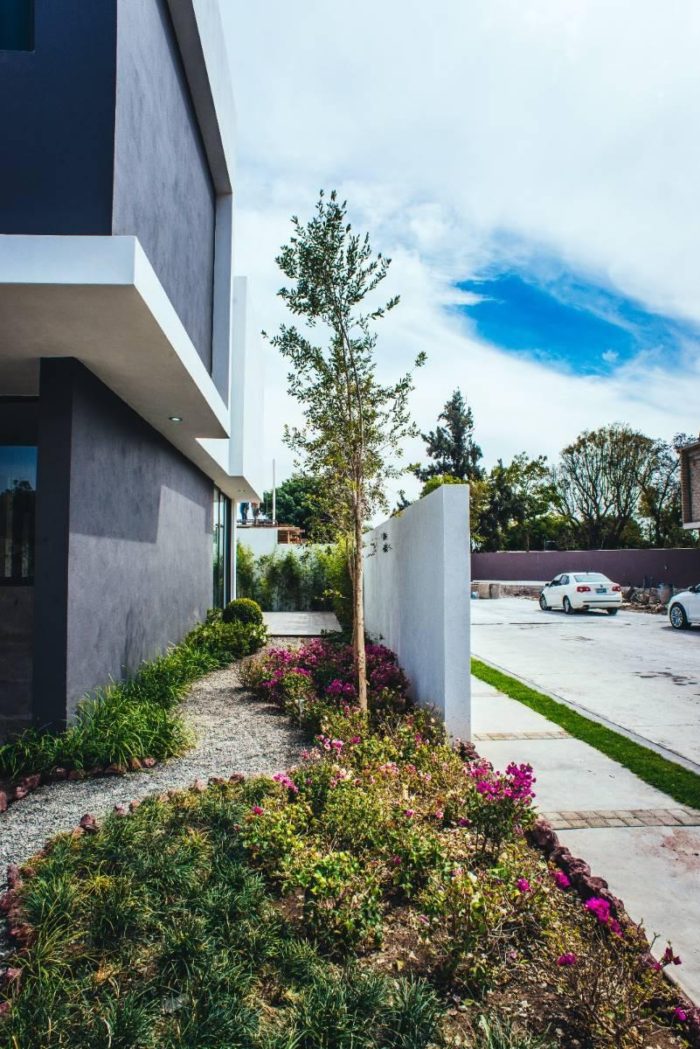 Sleek and modern side garden design / Jardín lateral moderno contemporáneo