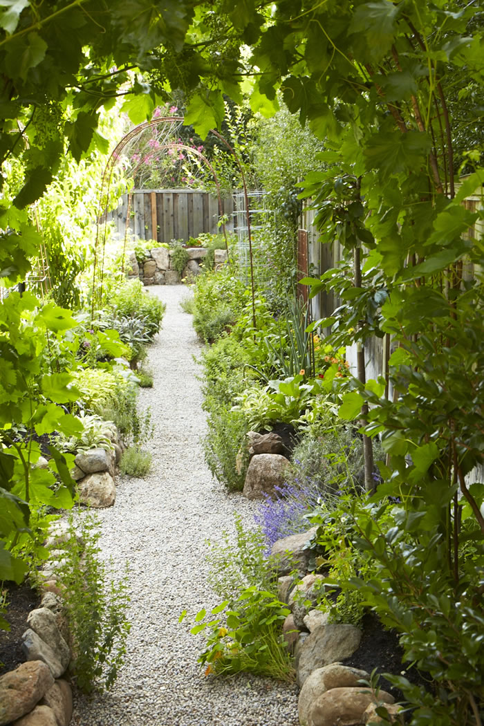 Edible side garden / Jardín lateral comestible