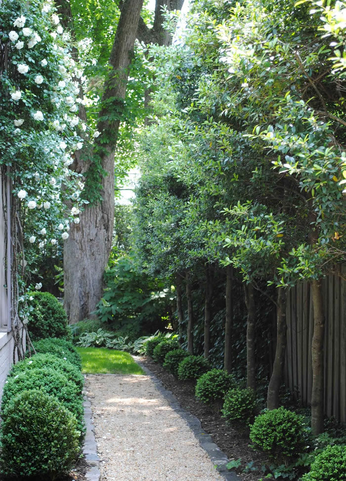 Romantic side garden / Jardin lateral romántico