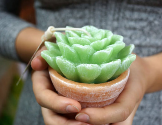 Succulent baby shower / Un baby shower suculento - Casa Haus Deco
