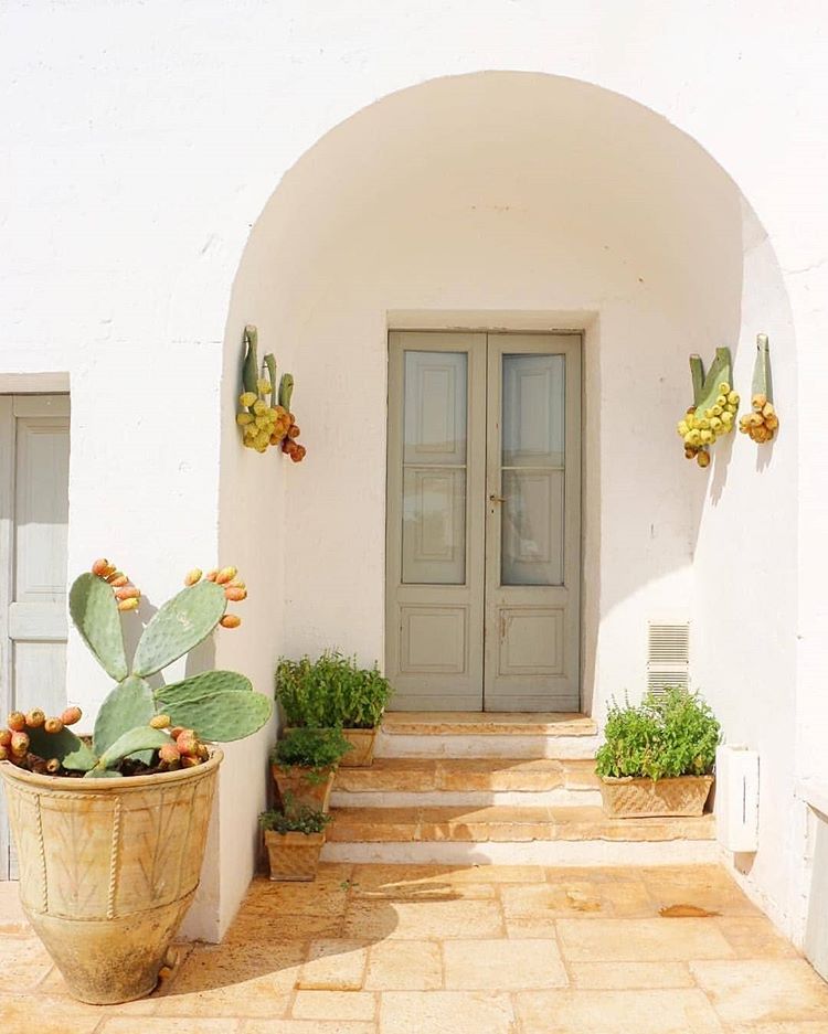 Entrada en casa rústica con nopales en maceta