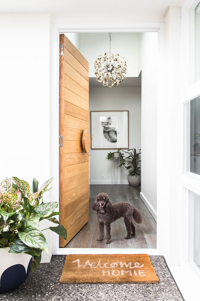 Entrada con puerta principal de madera, planta, lámpara colgante y cuadro al fondo