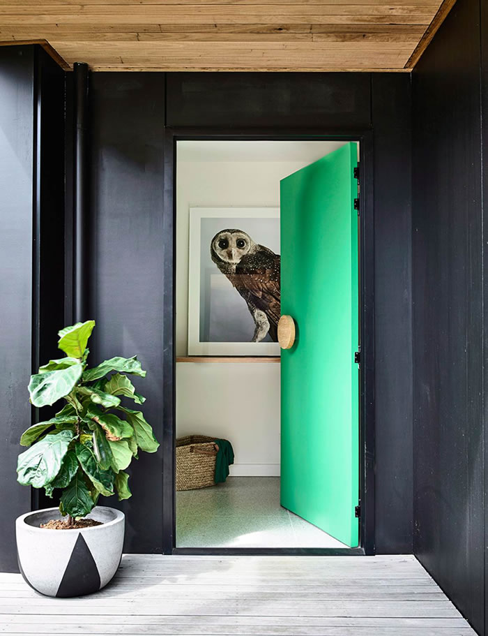 Entrada con puerta verde, planta en maceta y cuadro