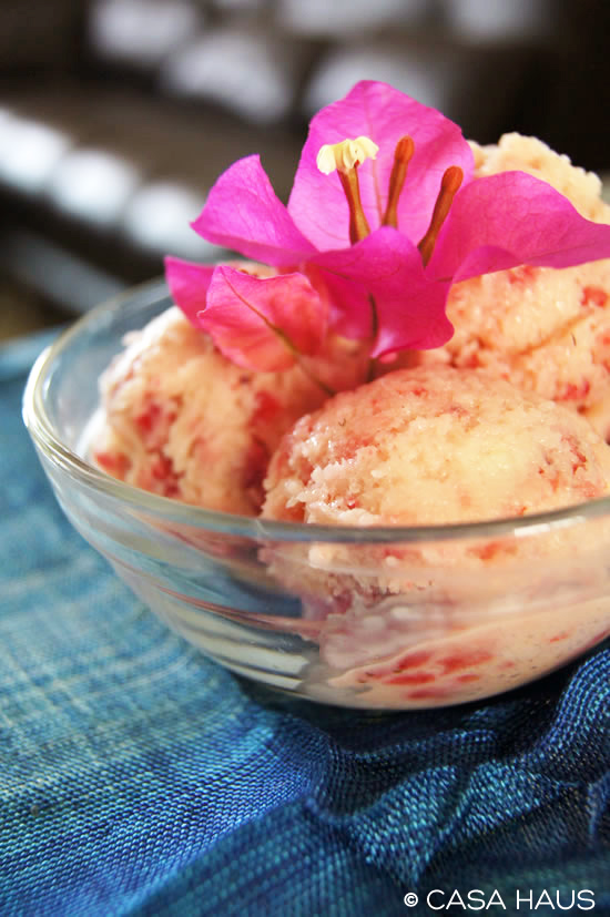 Easy yogurt and raspberry ice cream / Helado de yogurt y frambuesa... facilísimo! / casahaus.net
