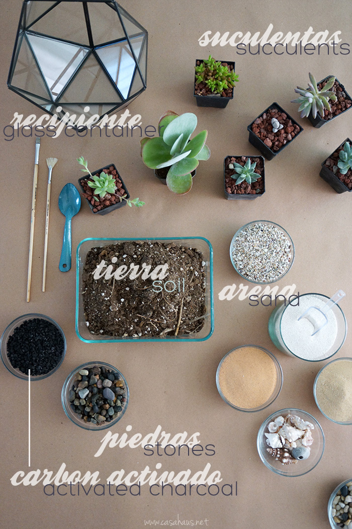 DIY succulent terrarium supplies | Materiales para hacer tu propio terrario de suculentas | casahaus.net