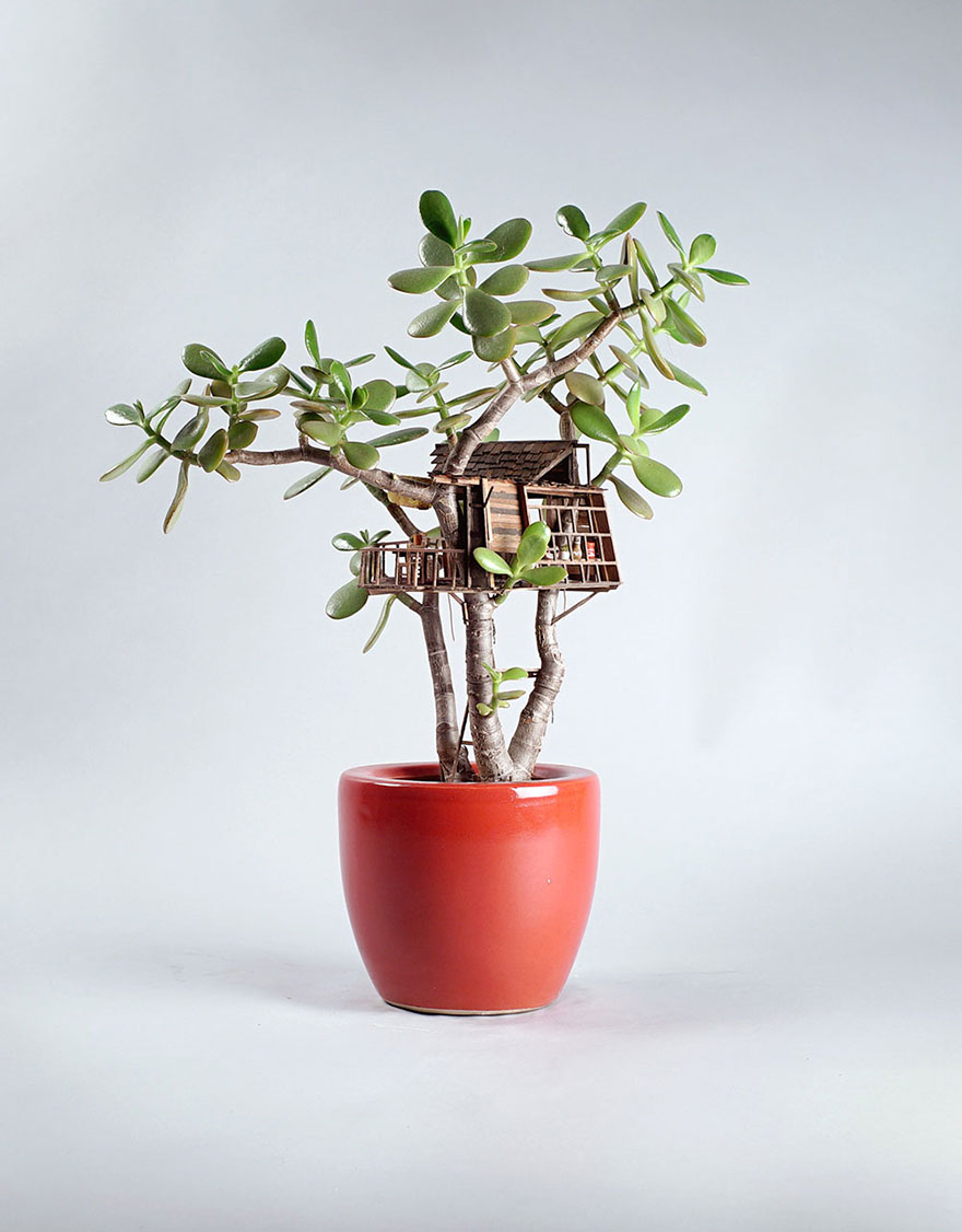 Miniature Treehouses by Jedediah Cowyn Voltz / Casas de árbol miniatura / casahaus.net