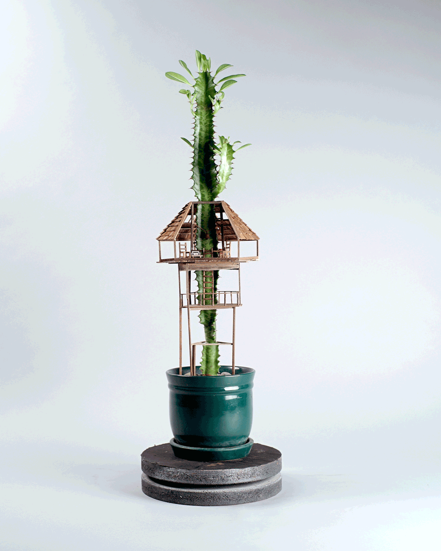 Miniature Treehouses by Jedediah Cowyn Voltz / Casas de árbol miniatura / casahaus.net