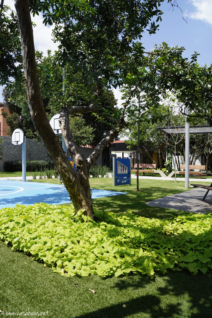 A gorgeous garden: modern landscape design / Un jardín bonito y moderno - Casa Haus Deco